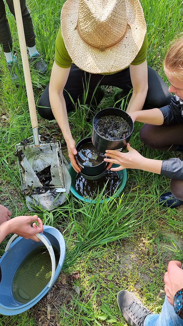 Fünf Personen auf einer grünen Wiese haben mit einem Kescher filtern schwarzes Kescher-Gut in Gefäße